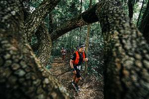 BIB: 
                            <button type="button" onclick="openModal(25392212)" class="btn btn-primary btn-sm float-right btn-popup" data-toggle="modal" data-target=".modal-high-quality">
                        <i class="fas fa-shopping-cart"></i> Add to Cart
                    </button>
                                            <button type="button" onclick="isThisMe(25392212, true)" class="btn btn-success btn-sm float-right btn-popup btn-isme hidden" data-toggle="tooltip" data-placement="bottom" title="นี่คือรูปของคุณใช่ไหม คลิกที่นี่เพื่อเอาเข้าอัลบั้ม">
                        <i class="fas fa-plus"></i> Add to album
                    </button>
                    <button type="button" onclick="isThisMe(25392212, false)" class="btn btn-warning btn-sm float-right btn-popup btn-isnotme hidden">
                        <i class="fas fa-ban"></i> Remove from album
                    </button>